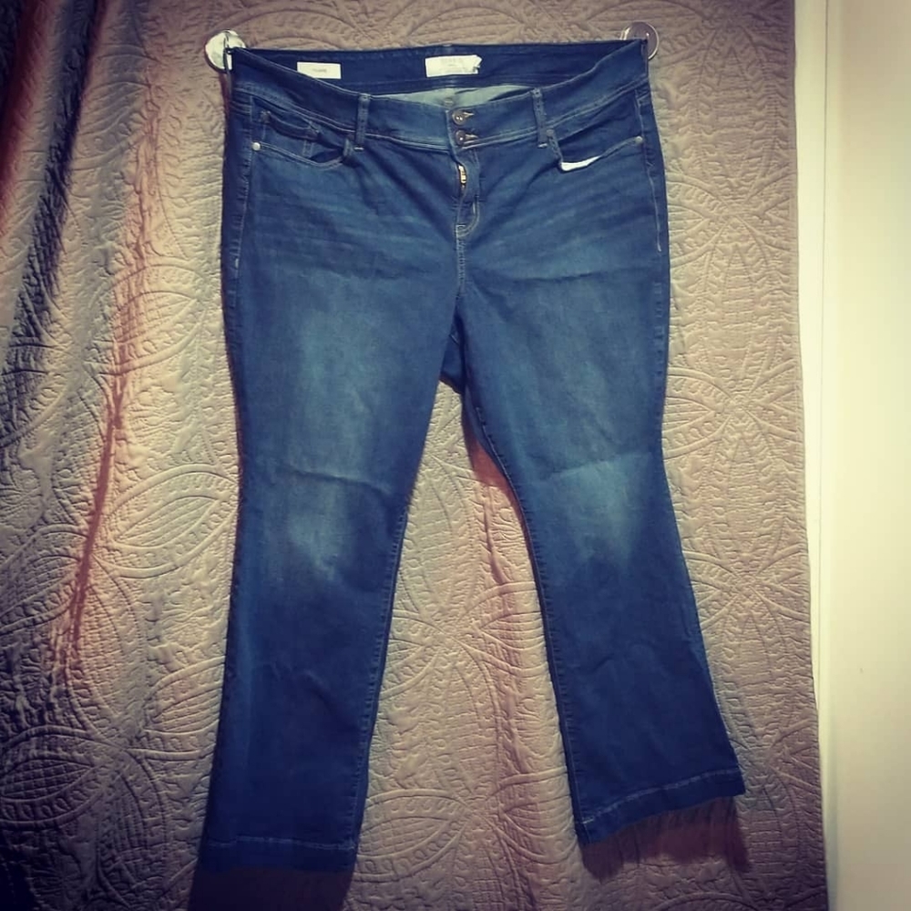 Torrid 22R Flare Jeans